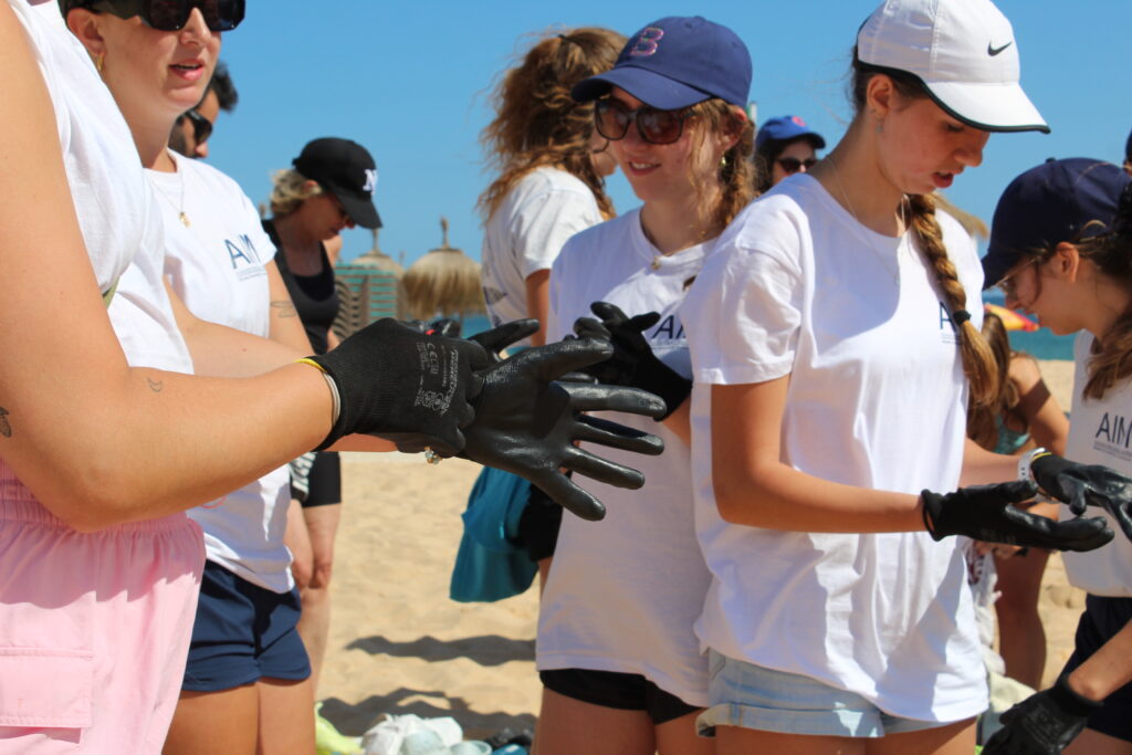 Impact Surf Camp