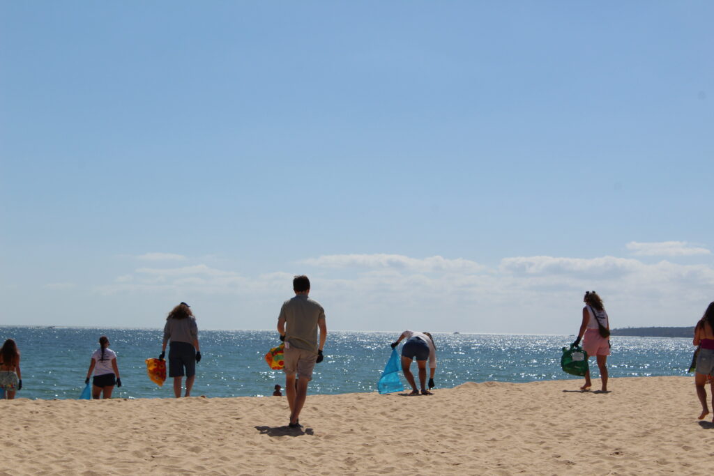 Impact Surf Camp