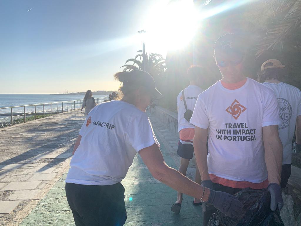 Impact Surf Camp