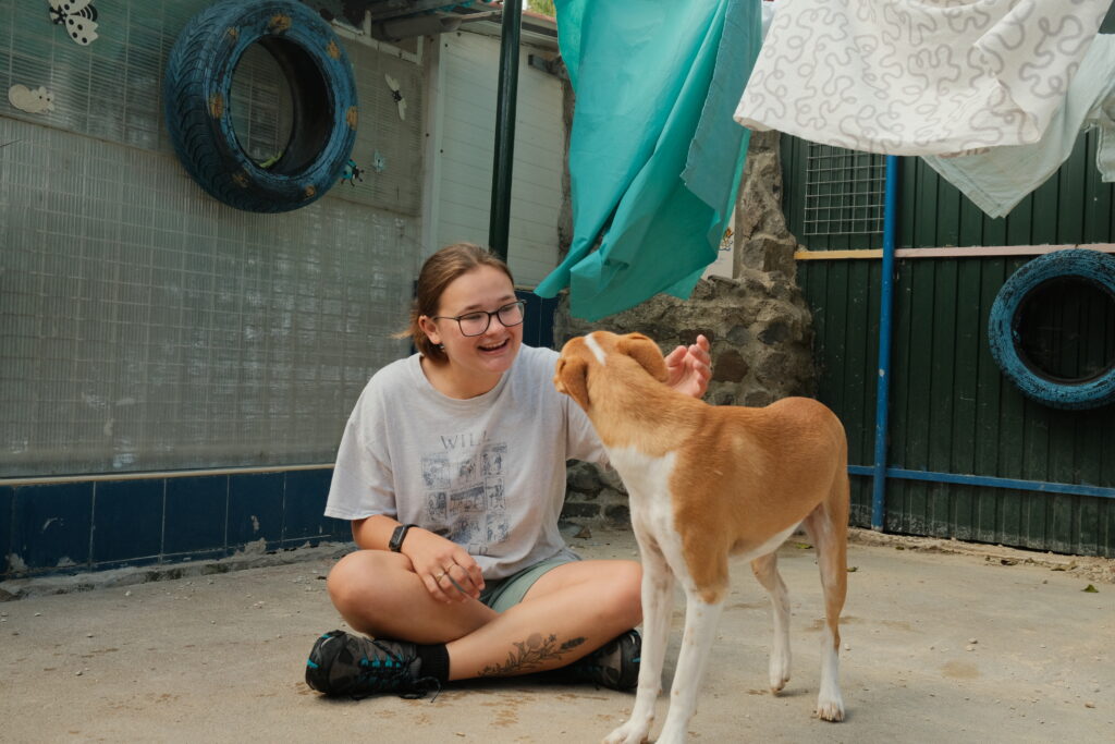 Veterinary Internship
