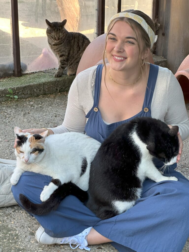 Veterinary Internship
