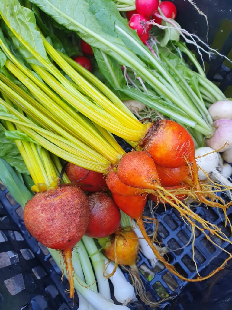 Sustainable Farming