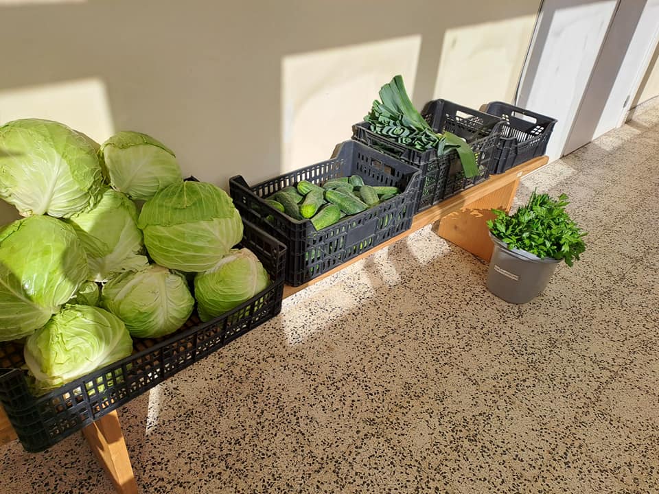 Sustainable Farming