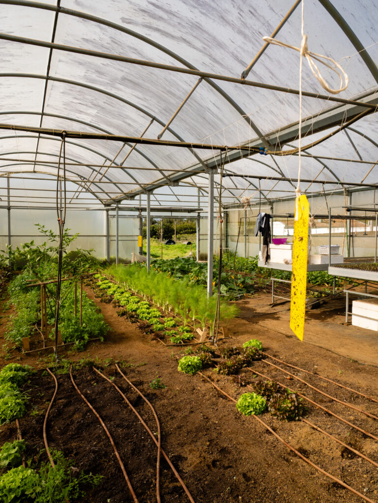 Sustainable Farming