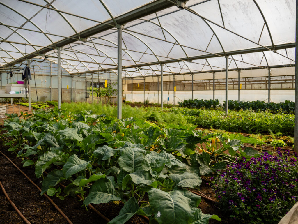 Sustainable Farming