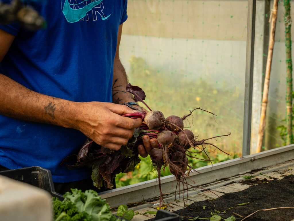 Sustainable Farming