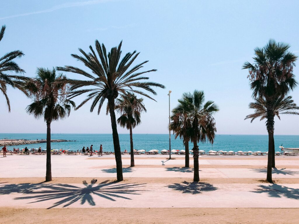 Let´s Learn Spanish in Barcelona!